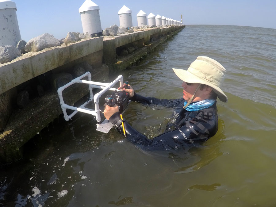 summit coastal marine jeff pennell