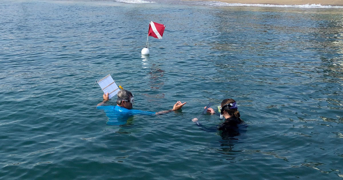 CSA Scientists perform nearshore surveys