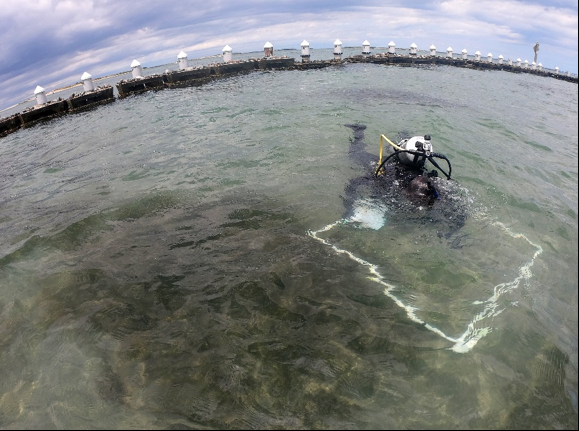 CSA Scientists at the Outer Banks, NC