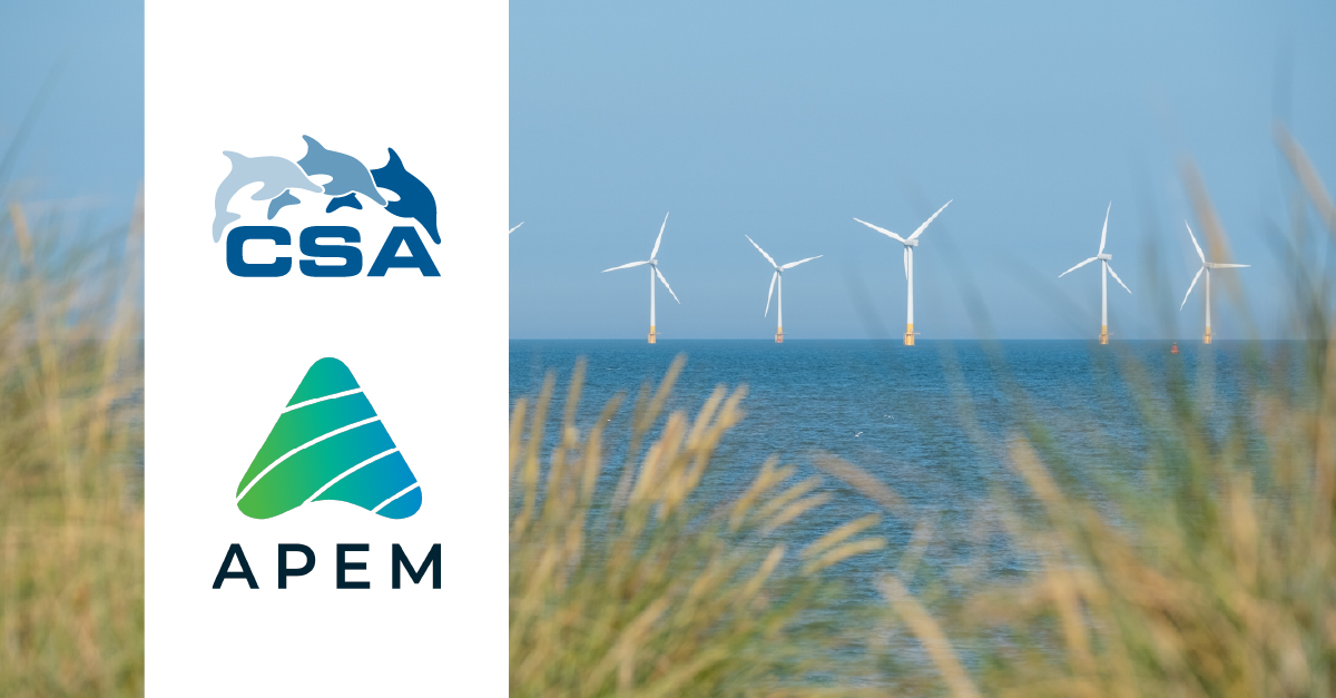 CSA APEM logo