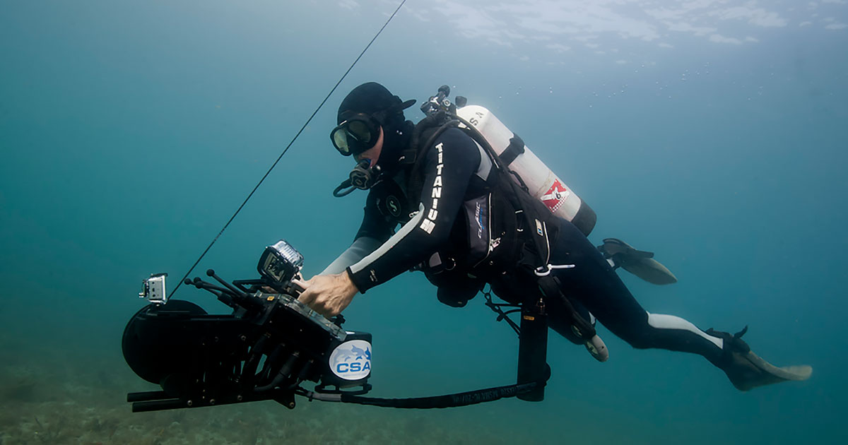 Shark Navigator Diver Ocean