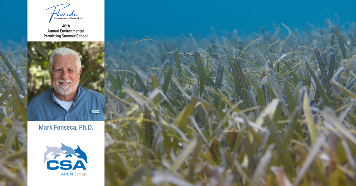 Mark Fonseca presenting at 2026 permitting summer school on seagrass