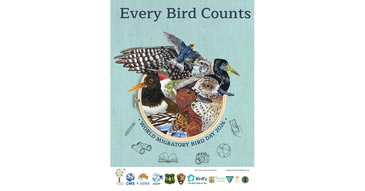2026 world migratory bird day